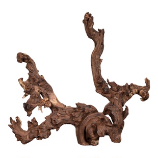 水族造景雨林缸珊瑚木水沉木天然枯木鱼缸装饰乌龟晒台紫柚木杜鹃