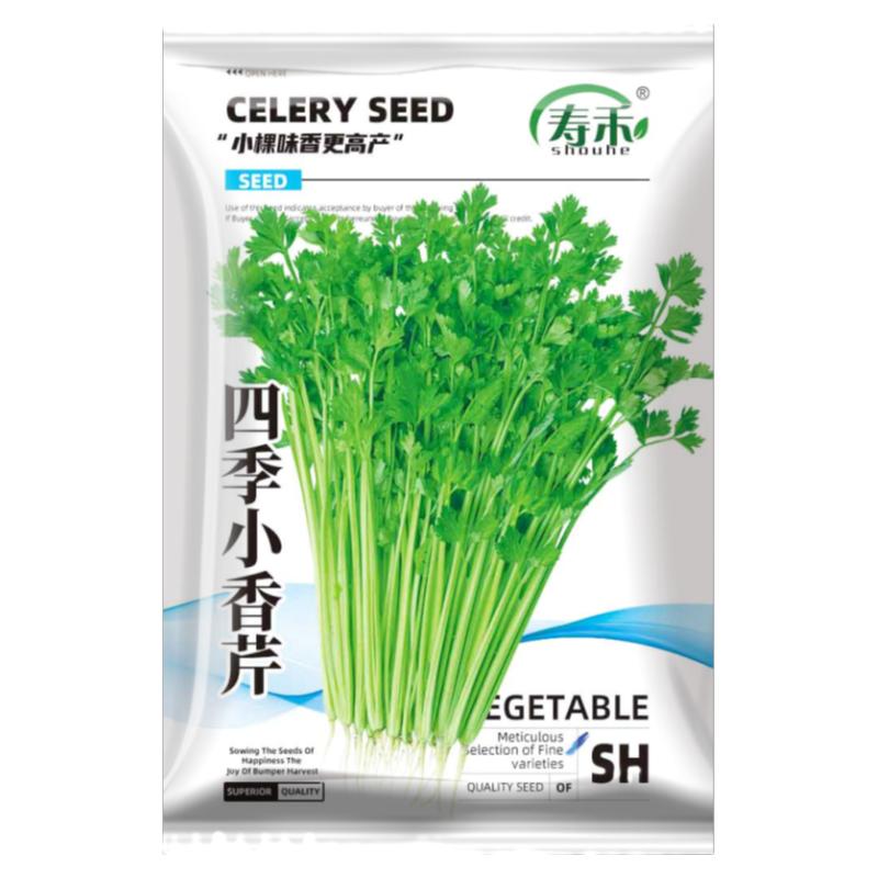 雪白实芹白芹菜种子种籽蔬菜孑冬季秋季高产南方四季籽种盆栽菜籽