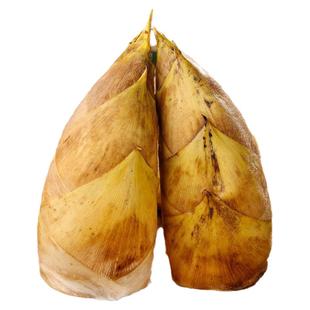 新鲜湖南冬笋现挖春笋野生带壳黄泥笋毛竹笋嫩笋尖农家大笋甜笋子