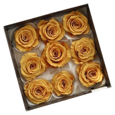 进口大地农园永生花玫瑰花头配材