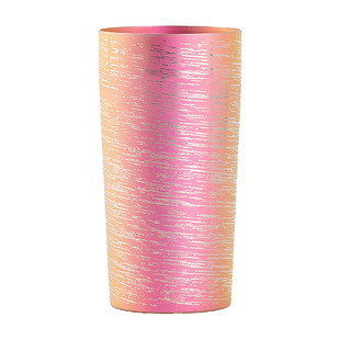 日本HORIE纯钛杯抑菌无异味保温保冷啤酒杯生日礼物健康双层水杯