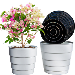 美莳三角梅专用花盆大号透气塑料控根专业无花果树老桩高飘青山盆