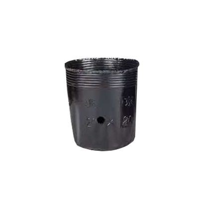 营养钵育苗杯花盆育苗杯黑色加厚