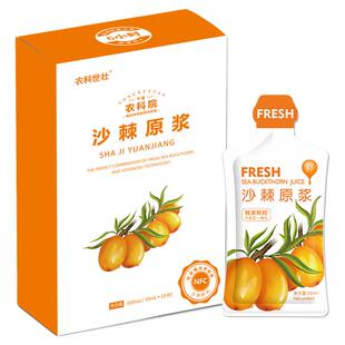 买一送一农科院沙棘原浆正品NFC原汁果油VC生冷榨 内蒙小果无蔗糖