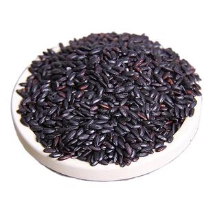 当季新鲜农家自产精选黑米东北软糯黑香米五谷杂粮黑香米早餐粥