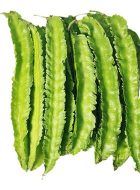 海南四角豆皇帝四棱豆新鲜果蔬菜