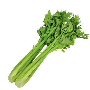 露天精品大西芹 脆嫩多汁 生吃榨汁 西芹百合虾仁