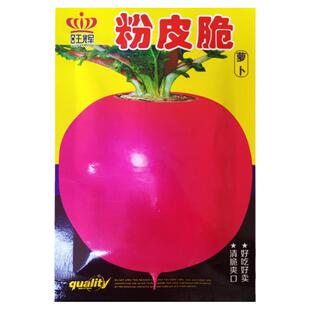 东北大红萝卜种子圆形红色白肉大红袍红丰秋季播种田园种籽种孑