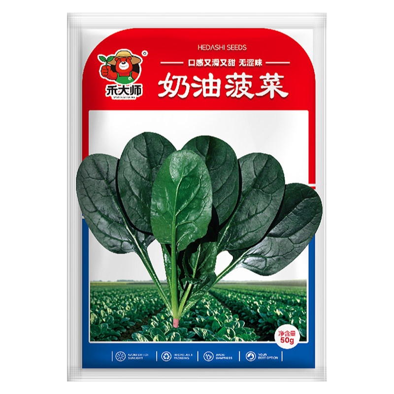 奶油菠菜种子不易抽苔高产蔬菜种籽大叶小叶趴地菠菜庭院农家