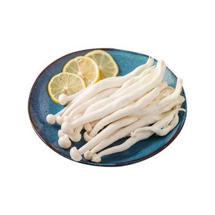 海鲜菇鲜嫩菌菇 火锅烧烤炒菜百搭 新鲜蔬菜 现摘先发