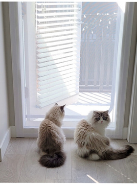 防猫门栏挡猫网防猫门帘拉链纱门免打孔客厅隔断帘订制宠物纱窗门