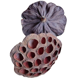 莲蓬干莲房莲托莲子壳散装中药材干莲蓬汤孕妇胎毒自晒干无硫入药