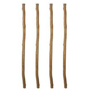 天然干树枝服装店挂衣木棍造型木棒原木隔断树干摆件拍摄木头装饰