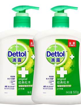 滴露家庭500ml*2抑菌洗手液