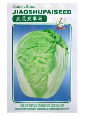 胶蔬高温夏阳四季秋播大白菜种孑
