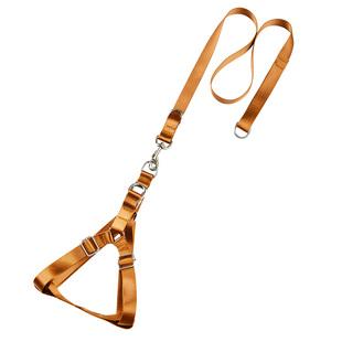 狗狗牵引绳大型犬中型犬狗绳遛狗绳金毛马犬拉布拉多狗链子胸背带