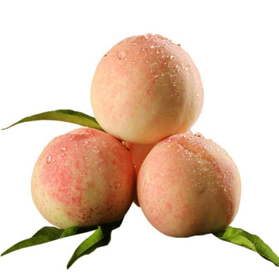 中熟水蜜桃苗正宗奉化无锡嫁接