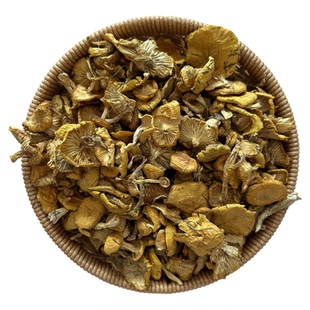 围场野生小黄油蘑菇干黄松蘑炖鸡煲汤送人礼25新货承德特产年货