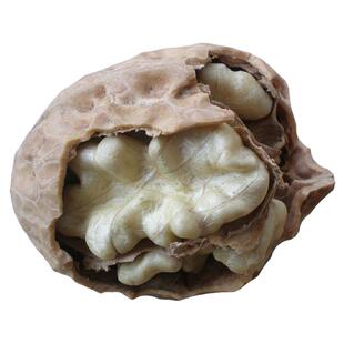 新货云南核桃 深山老树核桃薄皮核桃大姚103果清香不苦涩坚果零食