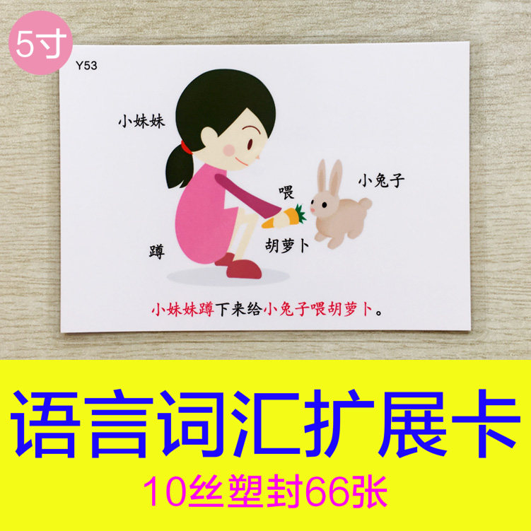 儿童语言词汇扩展 自闭症训练认知卡片 看图说话写话识字发育迟缓