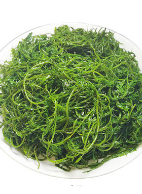 马尾藻foodoer/芙多儿长寿菜海草