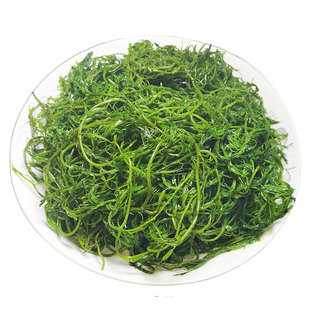 5斤盐渍马尾藻新鲜海藻海草大麦长寿菜火锅凉拌麻辣烫整箱商用