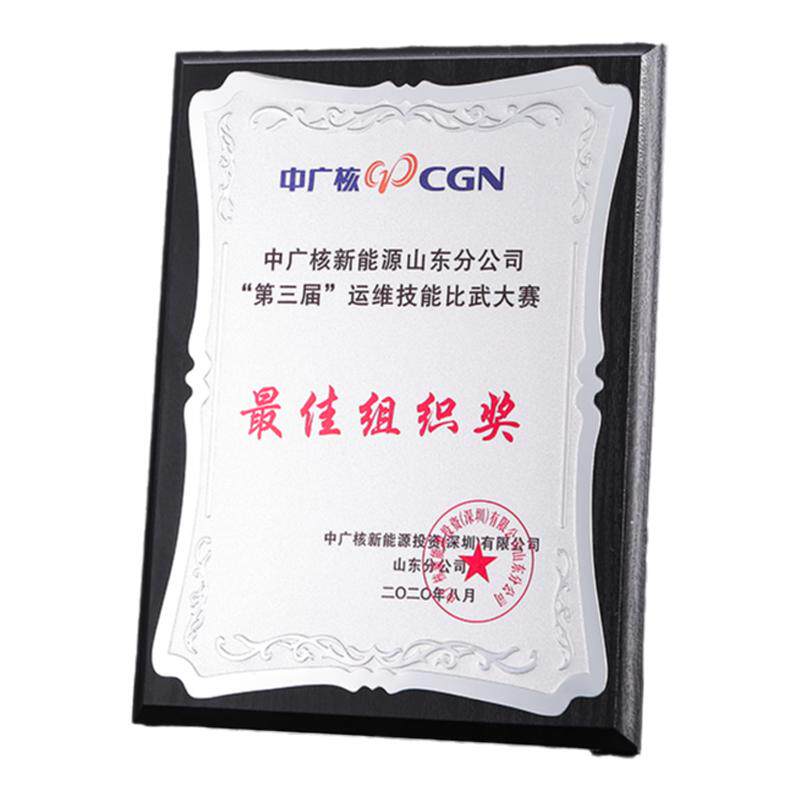 奖牌定制定做圆角木质牌匾聘书授奖杯/奖章/奖状/证