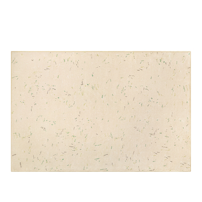 赛波斯可拆洗电暖地毯替换面毯