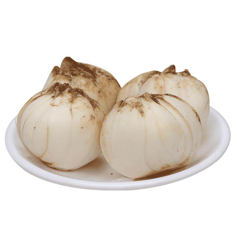 老韩 甘肃兰州新挖新鲜百合500g*2新鲜食用生甜白合非干货特产级