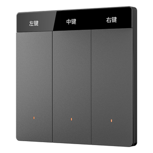 平头熊AKUltra臻铂 智能屏显开关mesh2.0超薄小爱语音控制面板PTX