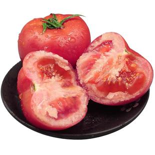 攀枝花米易西红柿沙瓤5新鲜水果自然熟生吃番茄蔬菜非草莓柿子甜