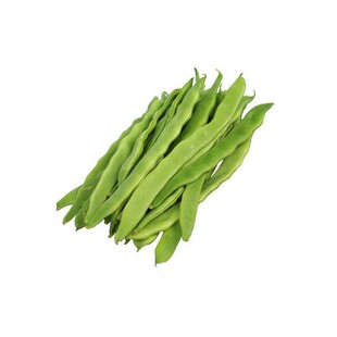荷兰玉龙芸豆种子宽芸豆 油豆角架扁豆种籽早熟高产蔬菜豆角 玉龙