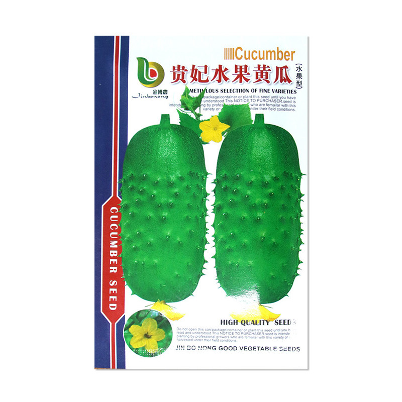 金博农贵妃水果黄瓜种子