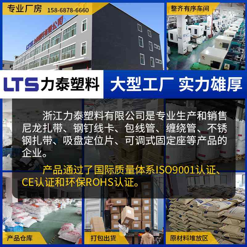 LTS力泰尼龙扎带批发3*4*5*8*10*150*200*300塑料绑带扎带厂