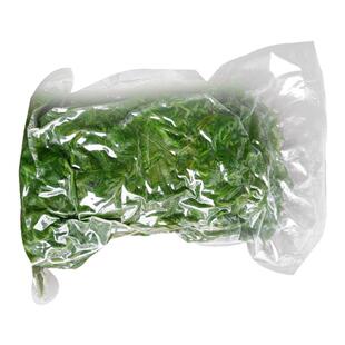 野菜黄须菜新鲜盐碱地碱蓬菜海滩菜黄席菜饺子馅涮肉凉拌猪毛菜