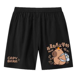 卡皮巴拉水豚君我是自愿上学的速干短裤子男女儿童装学生款五分裤