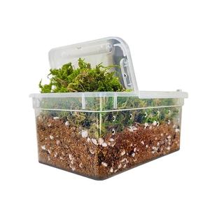 乌龟冬眠土爬宠椰土免泡型巴西龟草龟过冬窝沙土箱保暖苔藓饲养箱