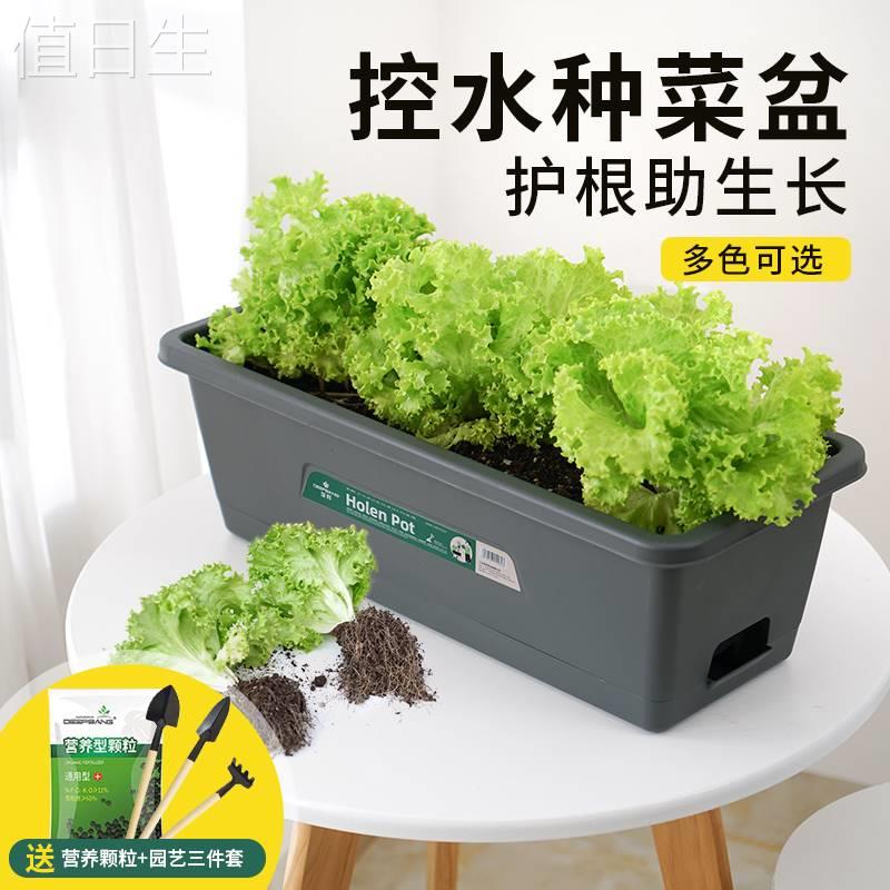 草莓花盆阳台种菜盆长方形家庭室内种菜神器长条盆蔬菜种植专用箱