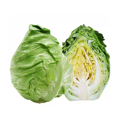 四川新鲜蔬菜牛心白菜包心菜