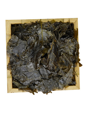 苦丁茶中药饮片药典标准