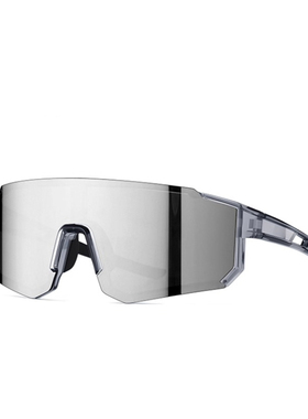 登山眼镜专业户外运动徒步骑行墨镜防风沙防紫外线雪山护目镜男女