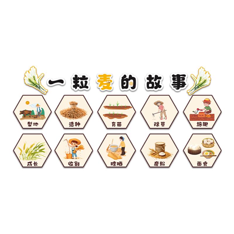幼儿园食堂文化墙贴节约粮食贴