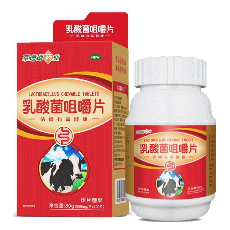 乳酸菌咀嚼片100片儿童大人肠胃肠道益生菌成人可搭配调理代谢茶