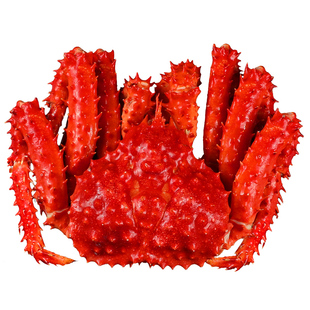 新鲜帝王蟹熟冻智利进口海鲜特大鲜活大螃蟹冰鲜水产皇帝蟹帝皇蟹