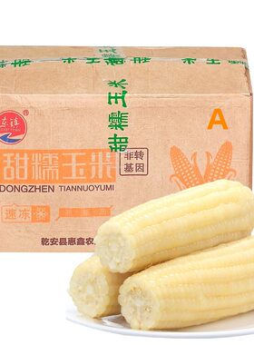 软糯香甜颗粒饱满玉米棒子饱满