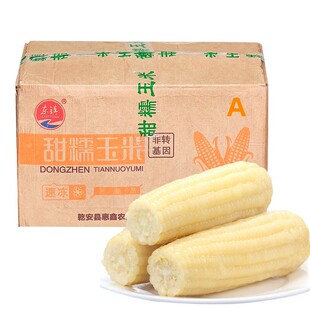 东北1号甜糯玉米棒 白色一等大玉米棒40根 新鲜速冻糯玉米18-20cm
