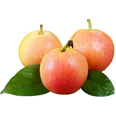 东北特产丨鞍山南果梨丨软糯香甜