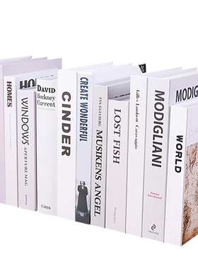 北欧简约新中式仿真书道具摆件