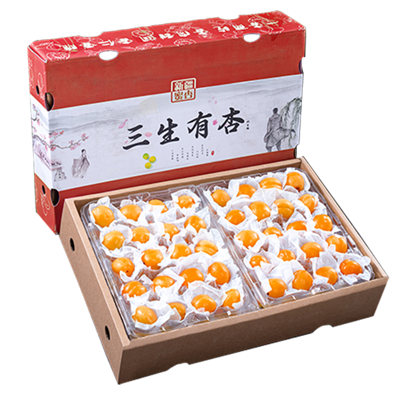 正宗爆甜小紅杏順豐空運(yùn)新疆直發(fā)