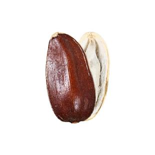 农科院云南生红瓜子新货大颗粒原味甜糯零食高原红皮瓜子生葵花籽